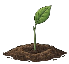 Estructuramos: Sin implementación